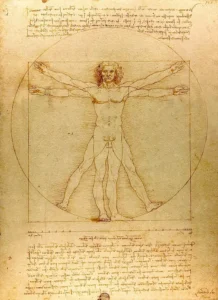 leonardo da vinci the vitruvian man